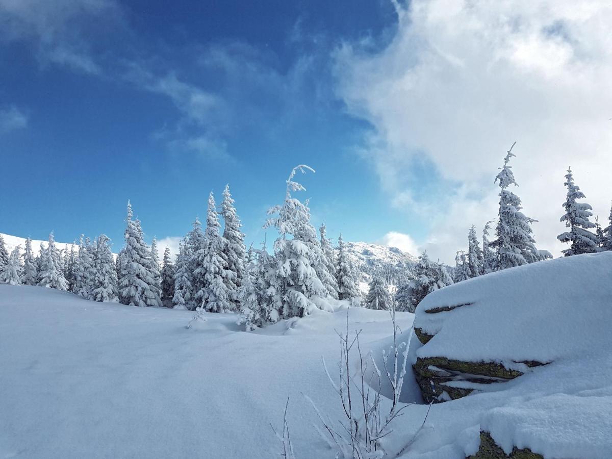 Apartmán Apartman KARIN, Tále, Chopok - Juh Bystrá Exteriér fotografie